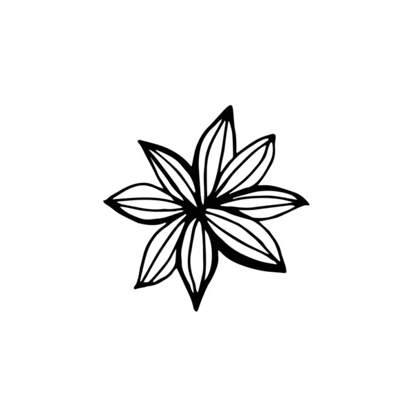 Illustration d'anis étoilé dessin à la main vecteur. Épices d'hiver . — Image vectorielle
