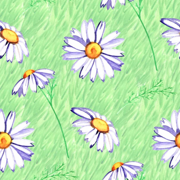 Padrão sem costura floral aquarela com margaridas, flores silvestres, impressão de verão — Fotografia de Stock