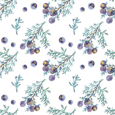 Sulu Boya Dikişsiz desen beyaz arka plan üzerinde izole bitkiler ardıç. Çilek ve dalları ile botanik illüstrasyon.