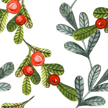 Kırmızı toplu köknar ağacı dallarıyla sulu boya deseni