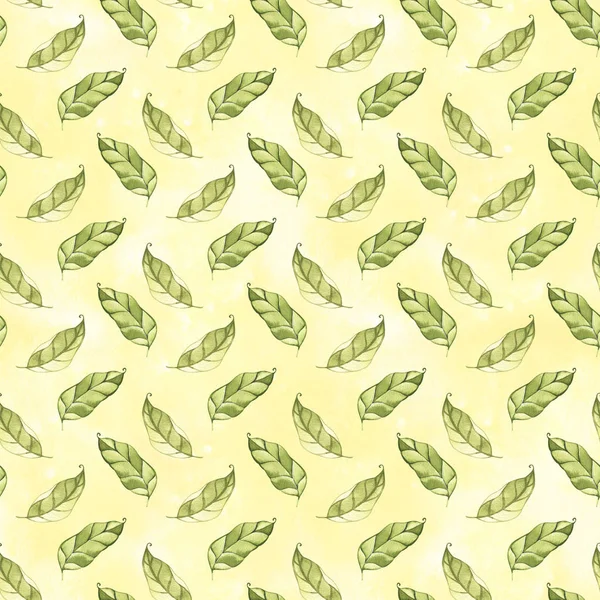 Acuarela dibujado a mano patrón sin costura con hojas tiernas primavera —  Fotos de Stock