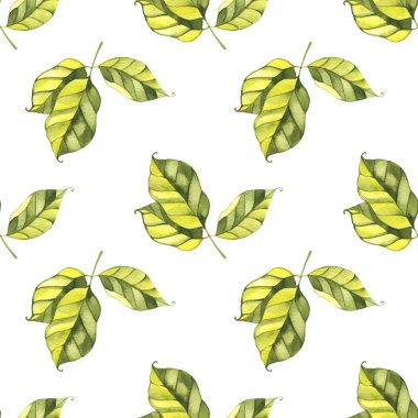 Bahar mevsimi yeşil yaprakları, suluboya, desen, soyut, duvar kağıdı.