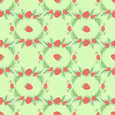 Kusursuz desen. Ahududu. Meyve karışımı. yaz ruh hali geçmişi.