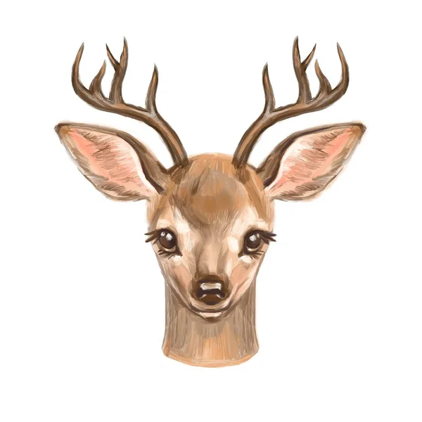 Watercolor illustration deer, big antlers. Isolated on white background. — Stock Photo, Image