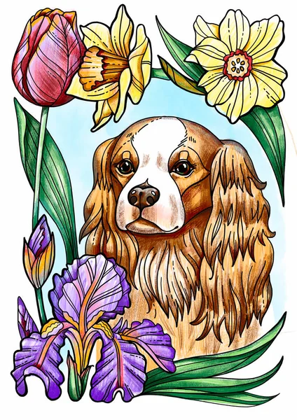 Słodki pies Cavalier King Spaniel w kwiatach, wieniec kwiatowy, bukiet — Zdjęcie stockowe
