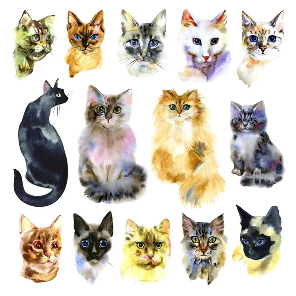 Suluboya kedi seti. Soyutlanmış kedi. El çizimi set. Aşk kedileri — Stok fotoğraf