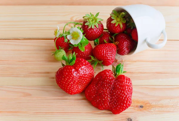 Färsk friska jordgubbe — Stockfoto