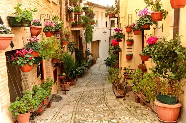 Callejón medieval de Spello en Umbría —  Fotos de Stock