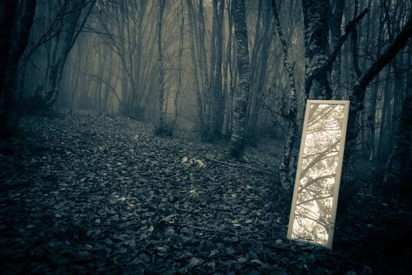 Маленькое зеркало в туманном лесу — стоковое фото