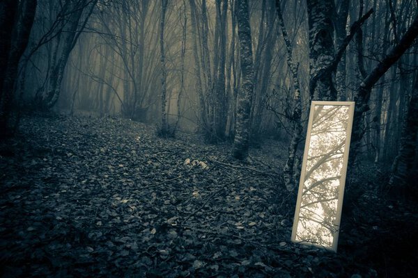 Photo of little mirror in the misty forest