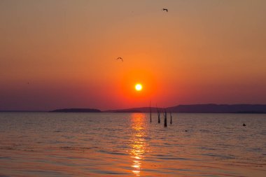 Gün batımında Trasimeno Gölü üzerinden martılar 