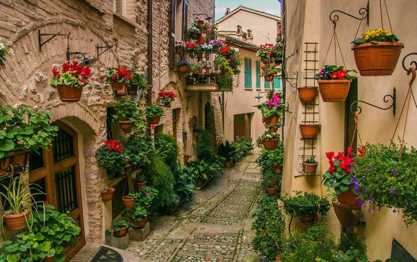 Charming street decoration with plants and flowers in medieval town Spello