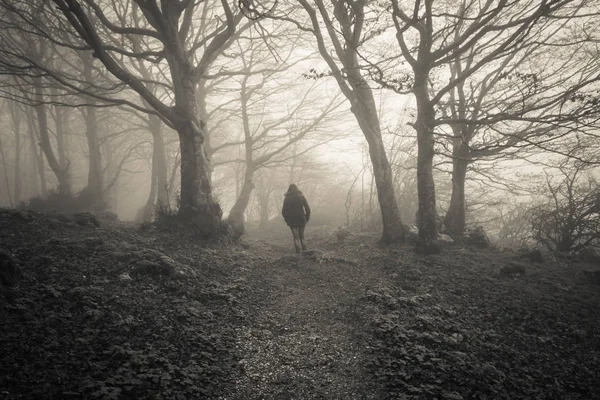 Woman lost in the dark forest — Stock Photo, Image