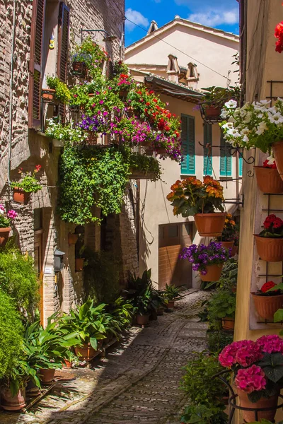 Straat van middeleeuwse Spello dorp met bloemen — Stockfoto