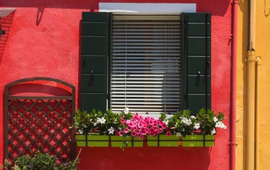 Yeşil Burano windows çiçekli
