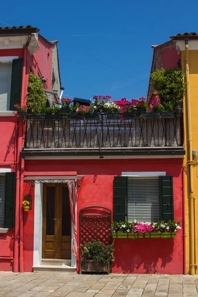 Цветной дом с цветами в центре Бурано — стоковое фото