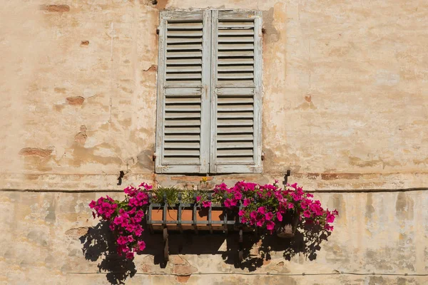 Window with flowers in the old Grottammare village