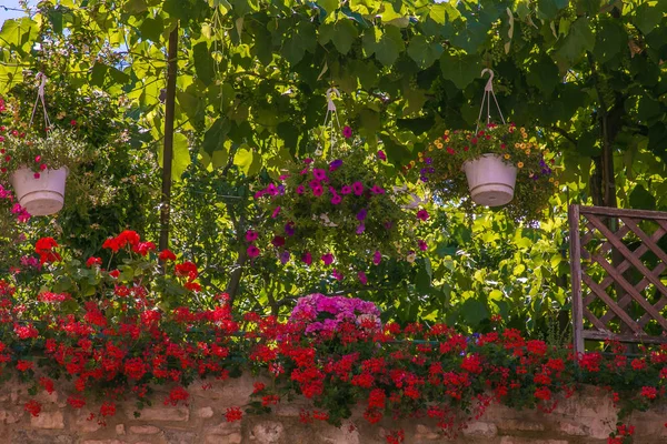 Maravilhoso jardim com muitas flores na Itália — Fotografia de Stock