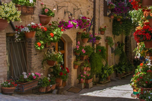 Hermoso callejón del pueblo medieval de Spello con flores —  Fotos de Stock