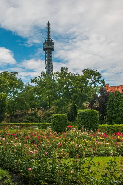 Wieża widokowa na wzgórzu Petrin. Zbudowany jako wersja mini Paris's Tour Eiffel — Zdjęcie stockowe