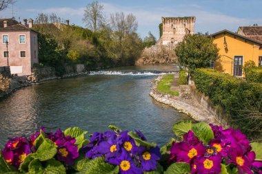 Borghetto sul Mincio ön planda çiçekli romantik bakış