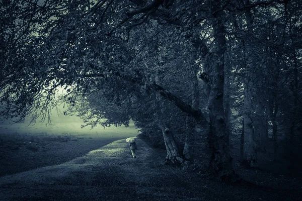 Caminhando Sozinho Floresta Escura Chuvosa — Fotografia de Stock