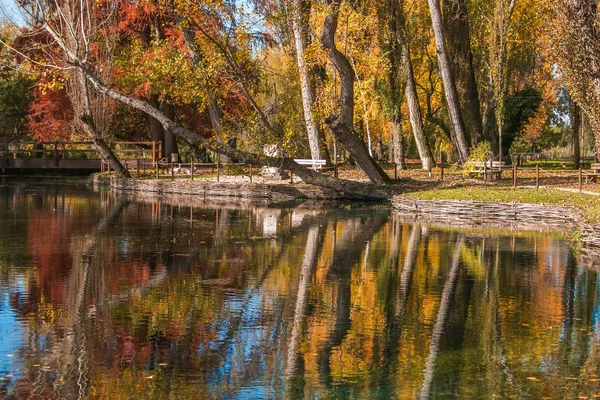 Reflexão Outonal Folhas Coloridas Lago — Fotografia de Stock