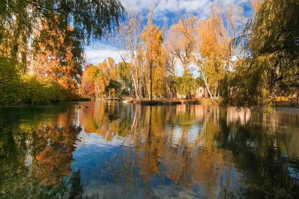 Удивительный Вид Романтическое Озеро Осенний Сезон Умбрии — стоковое фото