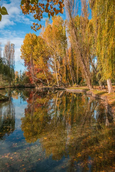 Осеннее Отражение Деревьев Маленьком Озере Умбрия — стоковое фото