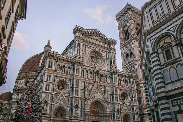 Detalhe Catedral Florença Grande Árvore Natal Inverno — Fotografia de Stock