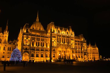 Mavi Noel ağacıyla parlamento binasının güzel manzarası