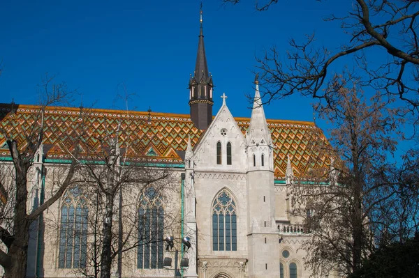 Kilátás Mátyás Templomra Budapesten Halászbástya Előtt Budai Várnegyed Szívében — Stock Fotó