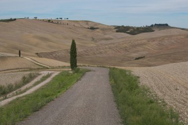 Castiglione D 'Orcia, İtalya - 4 Ekim 2019: Val d' Orcia 'da kırsal yol ve selvi içeren tipik Toskana manzarası