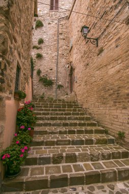 İtalya 'nın Umbria, Umbria kentindeki Nocera Umbra kasabasında vazo dolusu çiçekle merdivenler.
