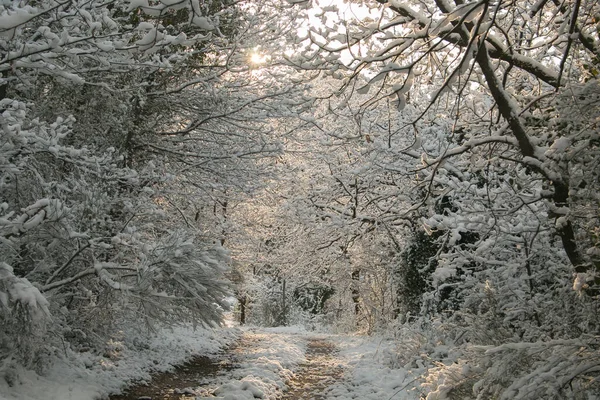 Wunderschöner Weg Mit Sonnenschein Und Schnee Der Frühlingszeit — Stockfoto