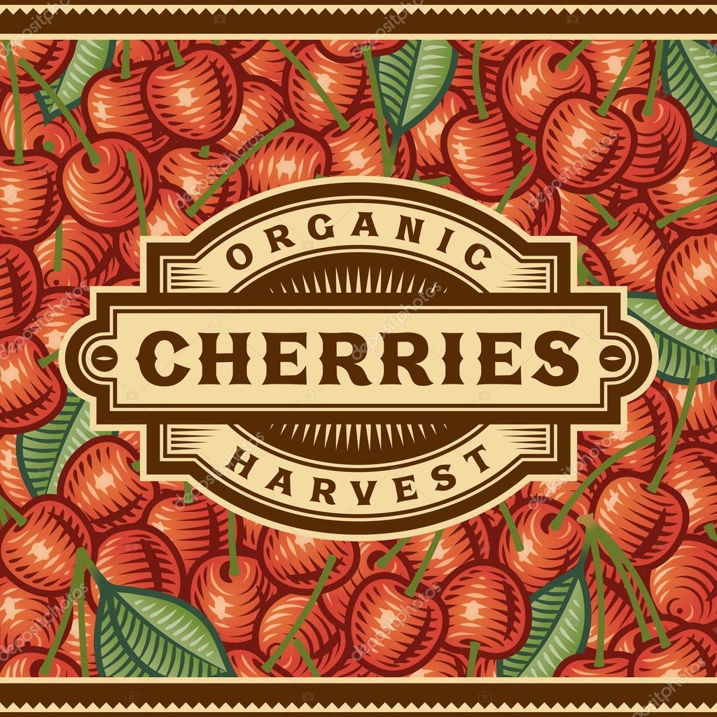 Retro cherry harvest label on cherries background in woodcut style. Editable vector illustration with clipping mask.