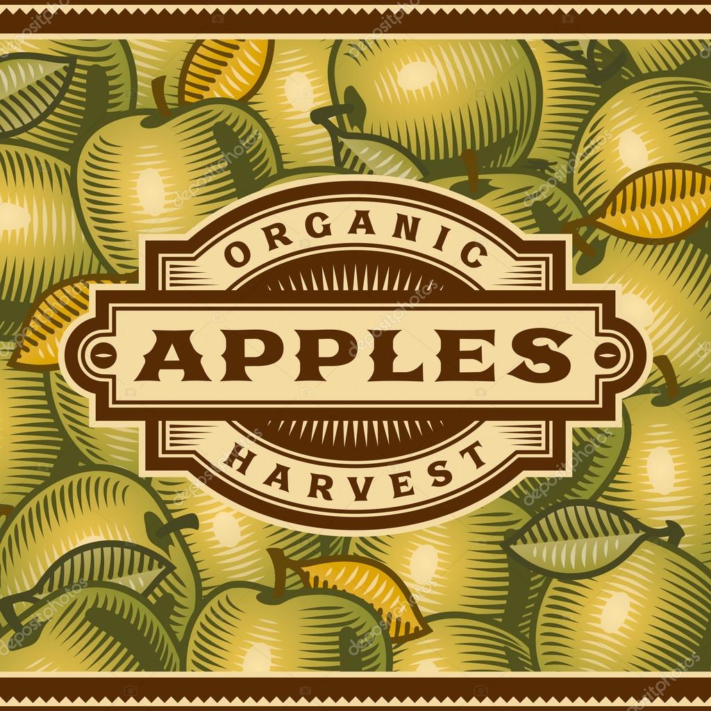 Retro apple harvest label on apples background in woodcut style. Editable vector illustration with clipping mask.