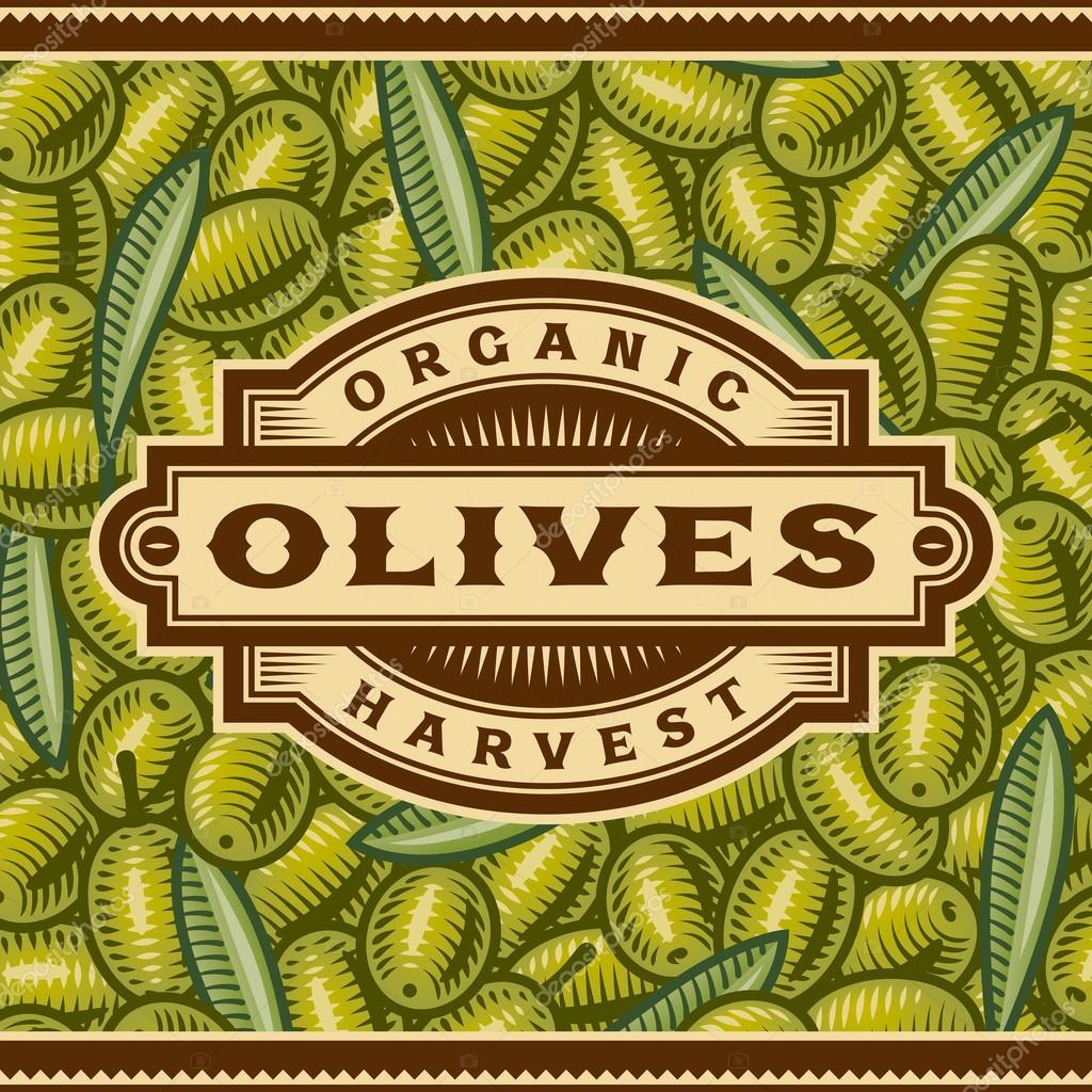 Retro olive harvest label on olives background in woodcut style. Editable vector illustration with clipping mask.