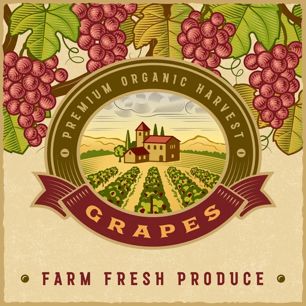 Vintage colorful grapes harvest label — ストックベクタ