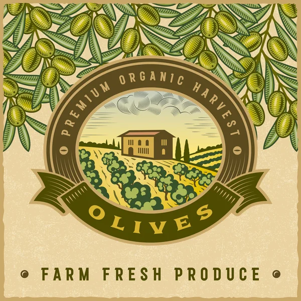 Jahrgang bunte Olivenernte Etikett — Stockvektor