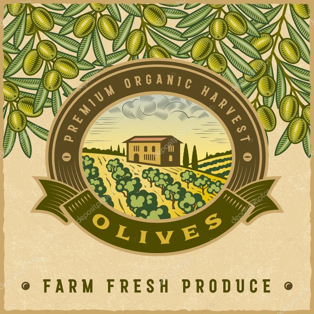 Vintage colorful olive harvest label with landscape in woodcut style. Editable vector illustration with clipping mask.