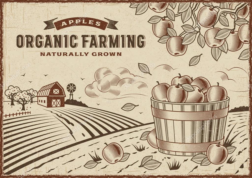Vintage organic farming label on apple harvest landscape. Editable EPS10 vector illustration in woodcut style with clipping mask.
