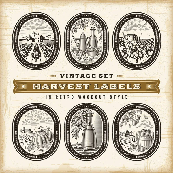 Ensemble d'étiquettes de récolte vintage — Image vectorielle