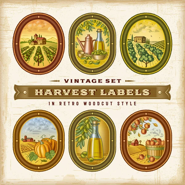 Vintage Colorful Harvest Labels Set — Stock Vector