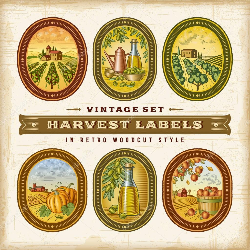 A set of colorful vintage harvest labels in retro woodcut style. Editable EPS10 vector illustration with clipping mask.