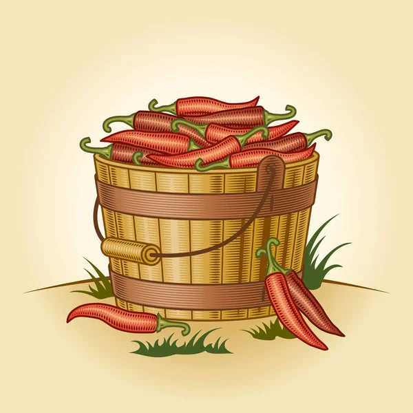 Retro Bucket Chili Peppers Editable Vector Illustration Retro Woodcut Style — Stock Vector