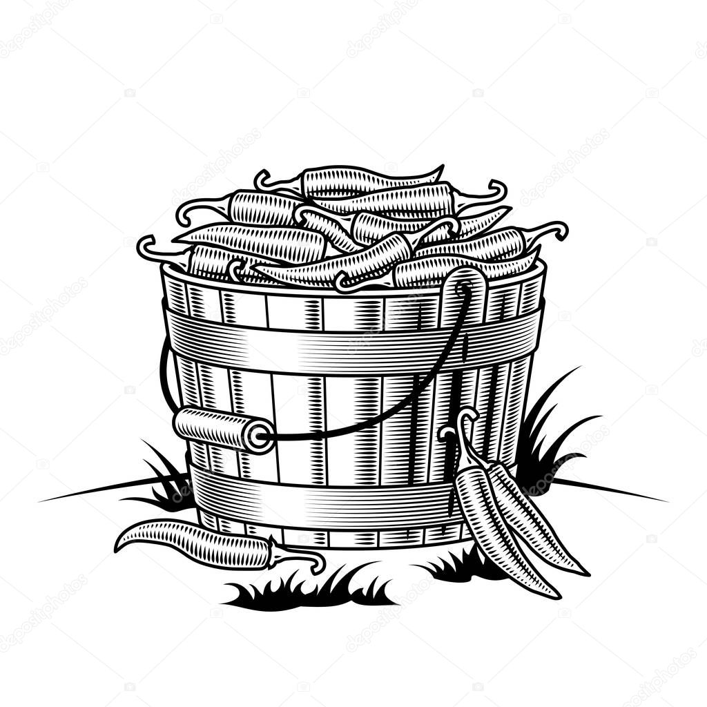 Retro bucket of chili peppers black and white. Editable vector illustration with clipping mask.