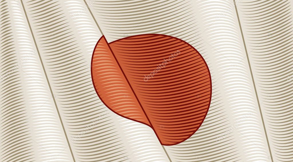 Vintage Flag Of Japan. Close-up Background. Vector illustration in retro woodcut style.