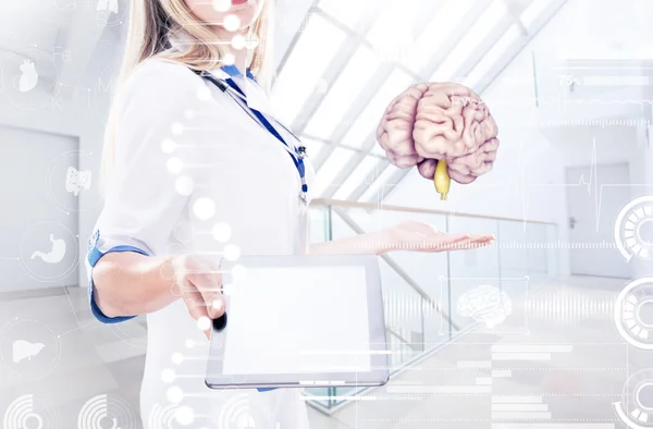 Dupla exposição, médico segurando órgãos humanos (cérebro) e tablet no hospital — Fotografia de Stock