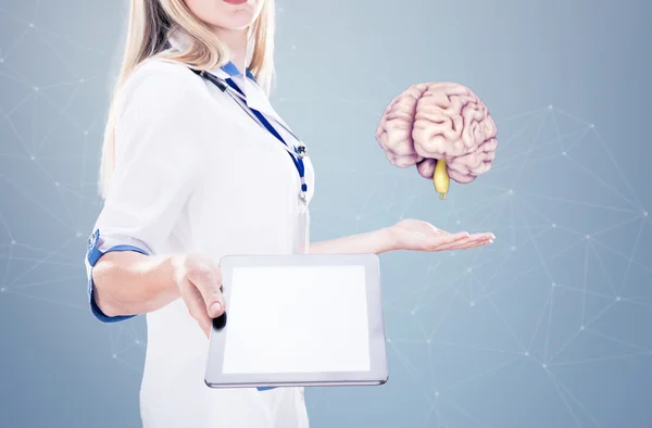 Exposição dupla, médico segurando órgãos humanos (cérebro) e tablet, fundo cinza . — Fotografia de Stock